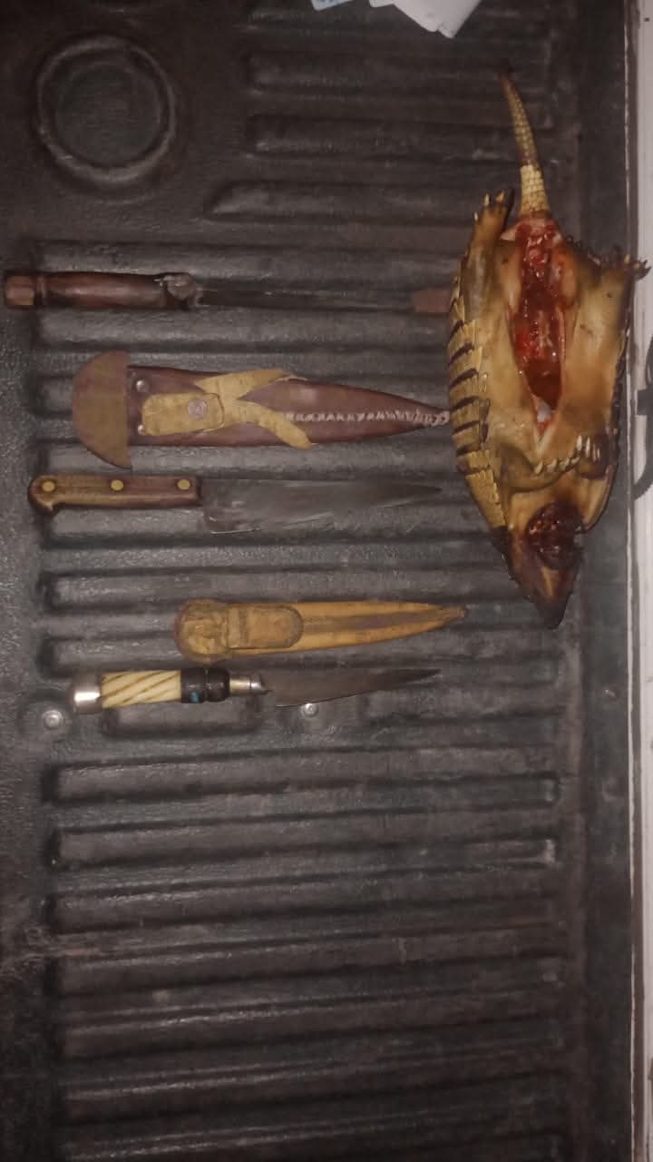 Detienen a cazadores con un piche eviscerado y armas blancas en Monte Comán